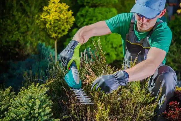 landscaping services Meadow Vale